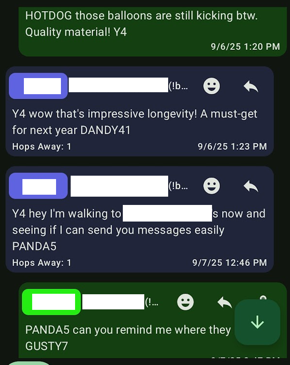 Meshtastic messages which start and end with code words. In one case, the other person hadn't yet responded and the first person switched the final code word to indicate a new message.