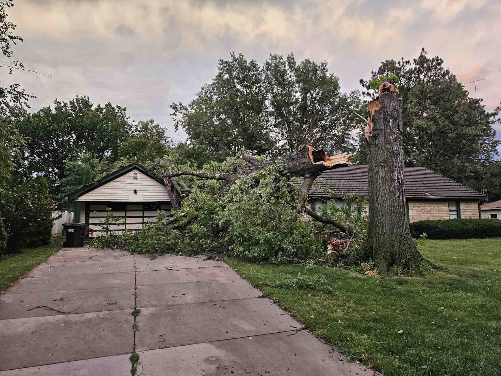a large tree broken in half and lying on the middle of a house